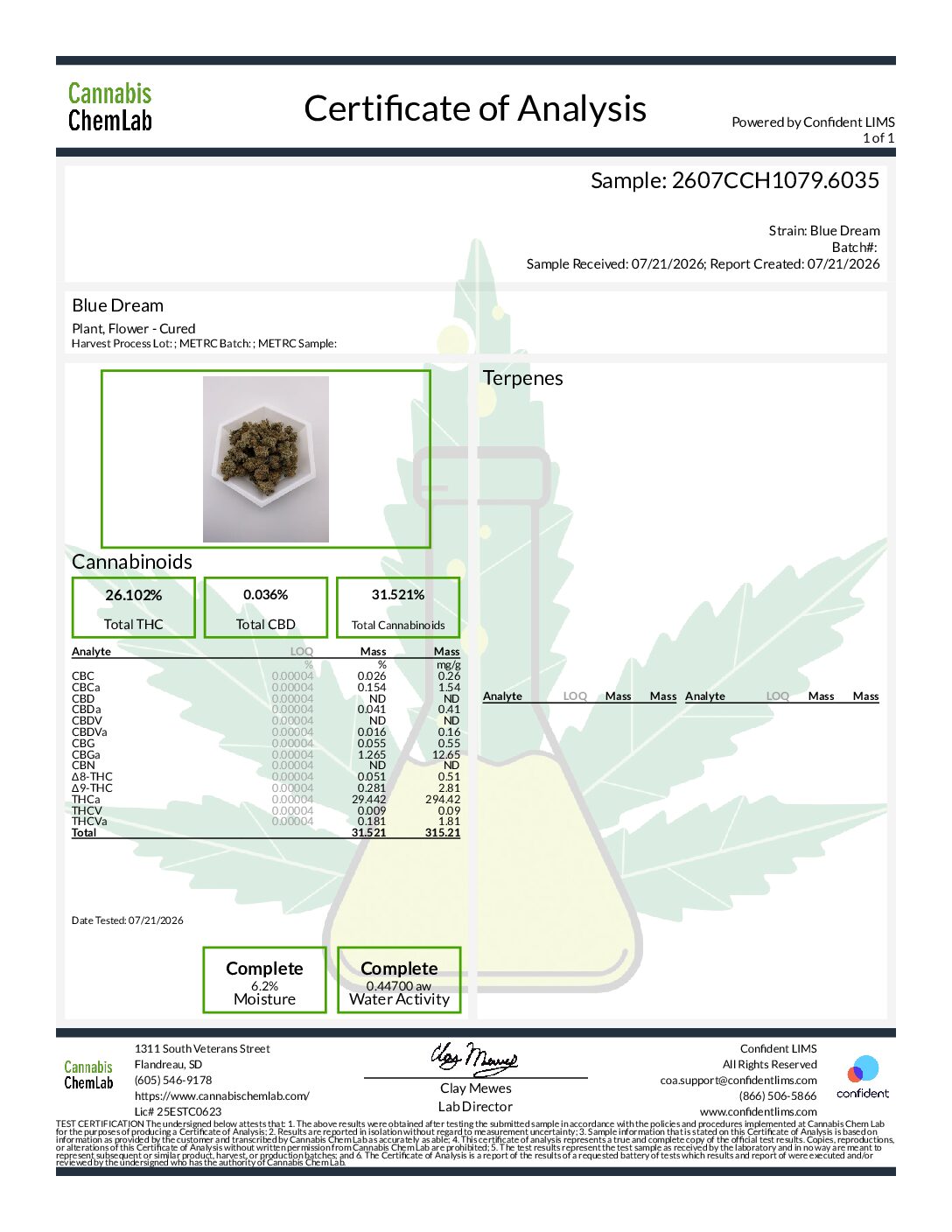 Blue Dream - Image 2