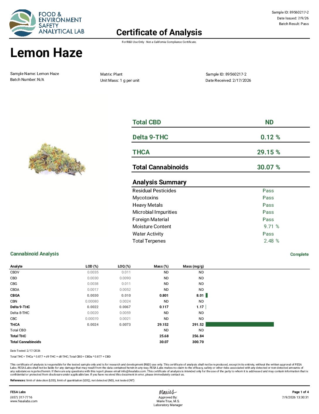 Lemon Haze strain – Type 1 THCa hemp flower from Holy City Farms