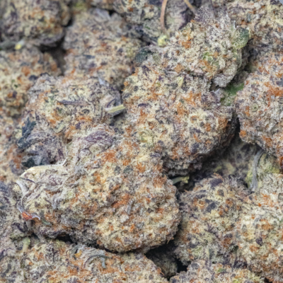 Animal Cookies