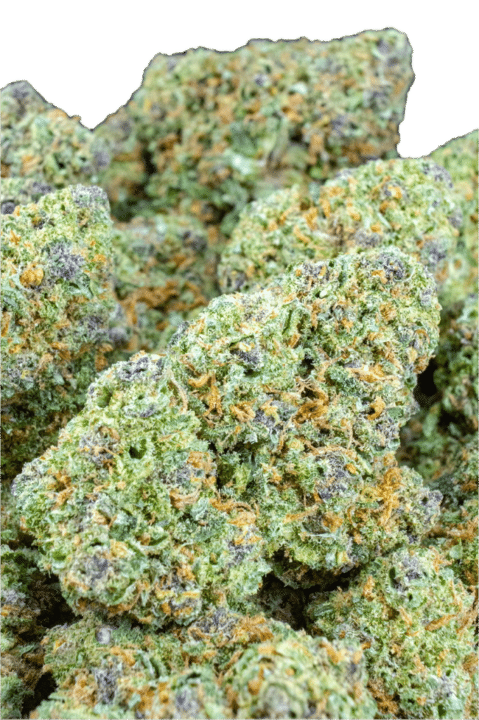 Pink Panther #1 - holy city farms