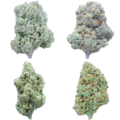 Type 3 Sample Pack (CBD)
